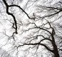 A_Z8B-A_20260226_0116