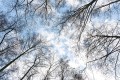 A_Z8B-A_20260228_0089
