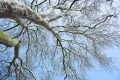 A_Z8B_20260307_0176_1