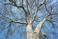 A_Z8B_20260307_0180
