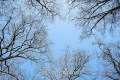 A_Z8B_20260309_0275_1