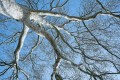A_Z8B_20260309_0350