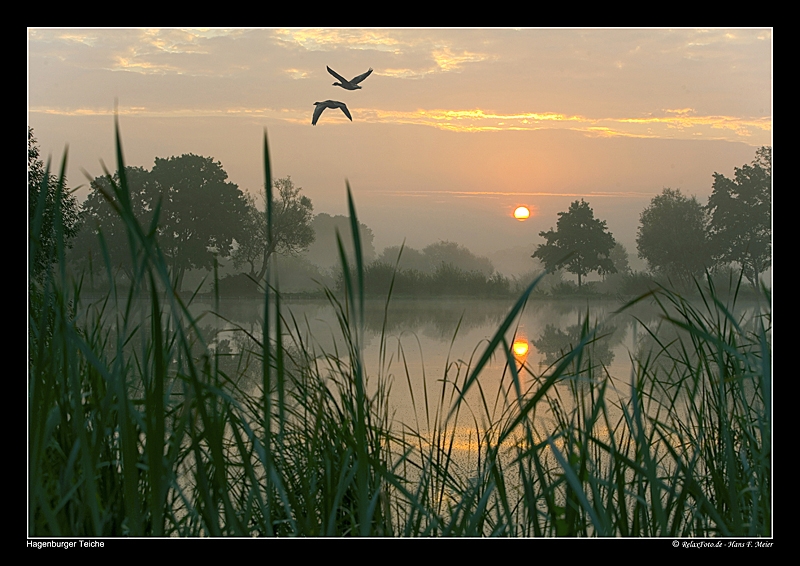 Fotogalerie Landschaftsbilder vom Naturpark Steinhuder Meer RelaxFoto.de
