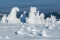 harz-brocken-winter-schnee-sonne-baum-gestalten-C_NIK_3509