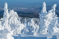 harz-brocken-winter-schnee-sonne-baum-gestalten-C_NIK_3532