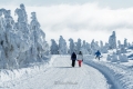 harz-brocken-winter-schnee-sonne-baum-gestalten-C_NIK_3597