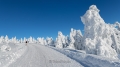 harz-brocken-winter-schnee-sonne-baum-gestalten-C_NIK_3640