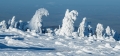 harz-brocken-winter-schnee-sonne-baum-gestalten-C_NIK_3720