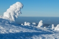 harz-brocken-winter-schnee-sonne-baum-gestalten-C_NIK_3740