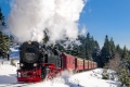 schmalspurbahn-dampflok-harz-brocken-winter-schnee-C_NIK_4780 Kopie