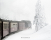 schmalspurbahn-dampflok-harz-brocken-winter-schnee-nebel-baum-gestalten-C_NIK_3421