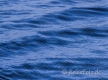 Wellen-Duenung-Wasser-Strukturen-Irland-Meer-Faehre-Frankreich-A_NIK5016
