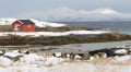 huette-holz-haus-norwegen-winter-schnee-landschaft-a_dsc4664