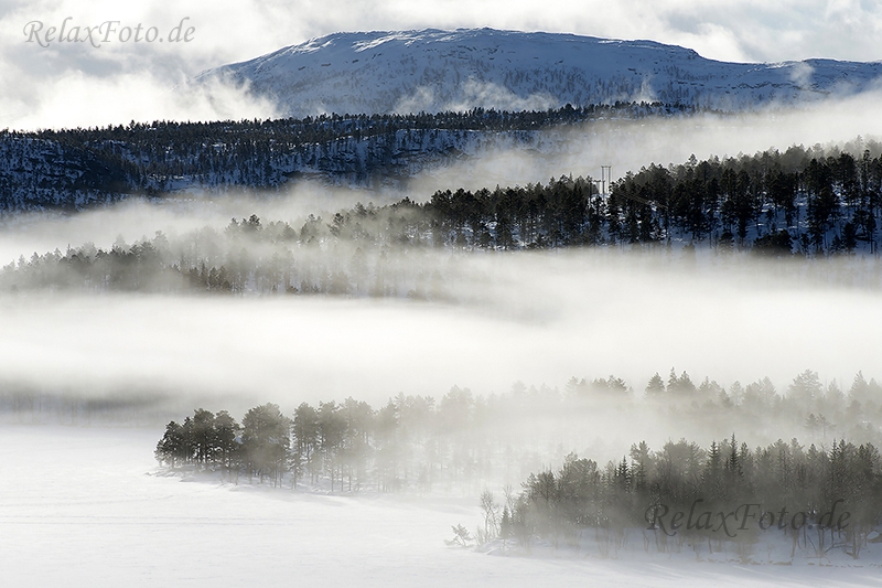 norwegen-nebel-wald-winter-schnee-landschaft-a_dsc5212