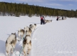 schlittenhunde-huskytrail-huskies-winterlandschaft-schweden-jaemtland-haerjedalen-1-sony_dsc1672