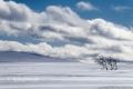 schweden-haerjedalen-winter-fjell-fjaell-a_dsc9022-kopie