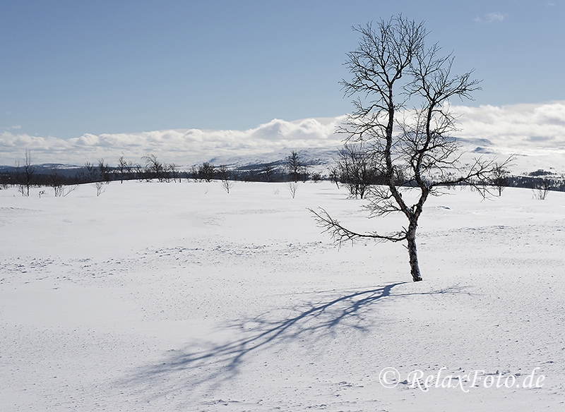 schweden-winter-haerjedalen-jaemtland-landschaft-fjell-fjaell-a_dsc9089-kopie