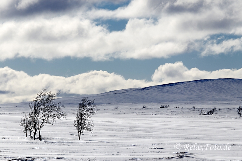 winter-landschaft-schweden-fjell-fjaell-a_dsc8999-kopie