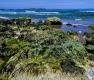 Landschaften-Wild-Atlantic-Way-Algen-gruene-Meereskueste-Kueste-Strand-Nordkueste-Irland-Nordirland-irische-nordirische-A_SAM4458