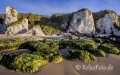 Landschaften-Wild-Atlantic-Way-White-Rocks-Kalkfelsen-Felsen-Algen-gruene-Meereskueste-Kueste-Strand-Nordkueste-Irland-Nordirland-irische-nordirische-A-Sony_DSC2167