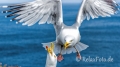 A_SAM5041