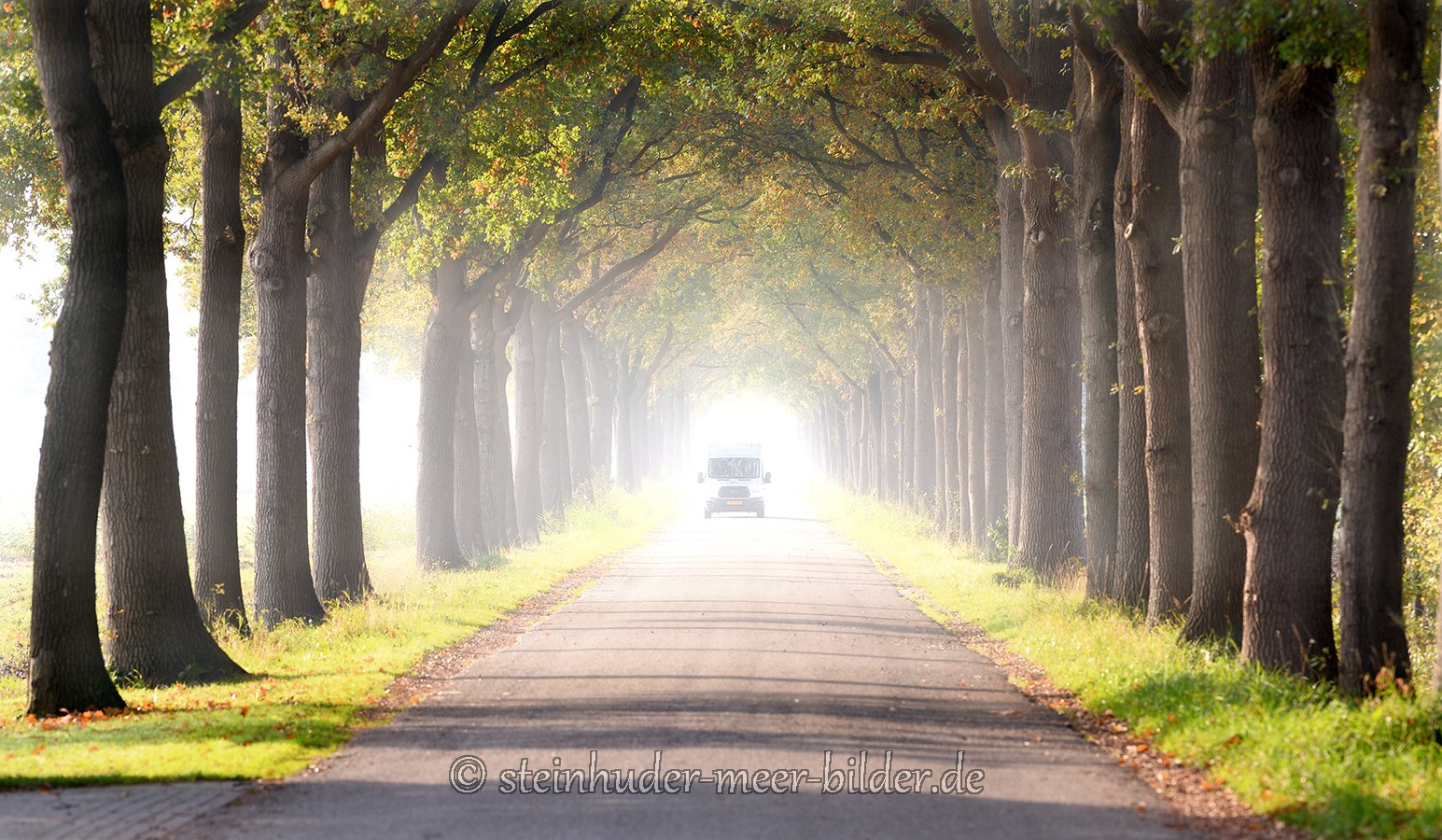 Herbst-Faerbung-Farben- Alleen-Gelderland-C_NIK_1148b Kopie