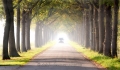 Herbst-Faerbung-Farben- Alleen-Gelderland-C_NIK_1148b Kopie