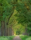 Niederlande-C_NIK_9604-Kopie