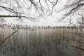 a_dsc9213