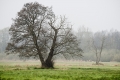 a_dsc9253