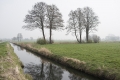 a_dsc9257