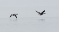 a_dsc9284