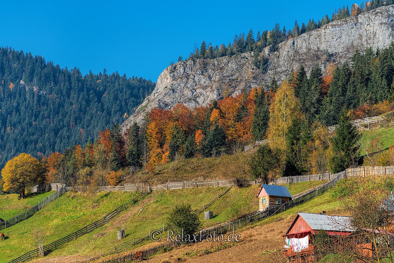 Herbst-Wald-Rumaenien-Siebenbuergen-Transylvanien-A_NIK500_6950 Kopie