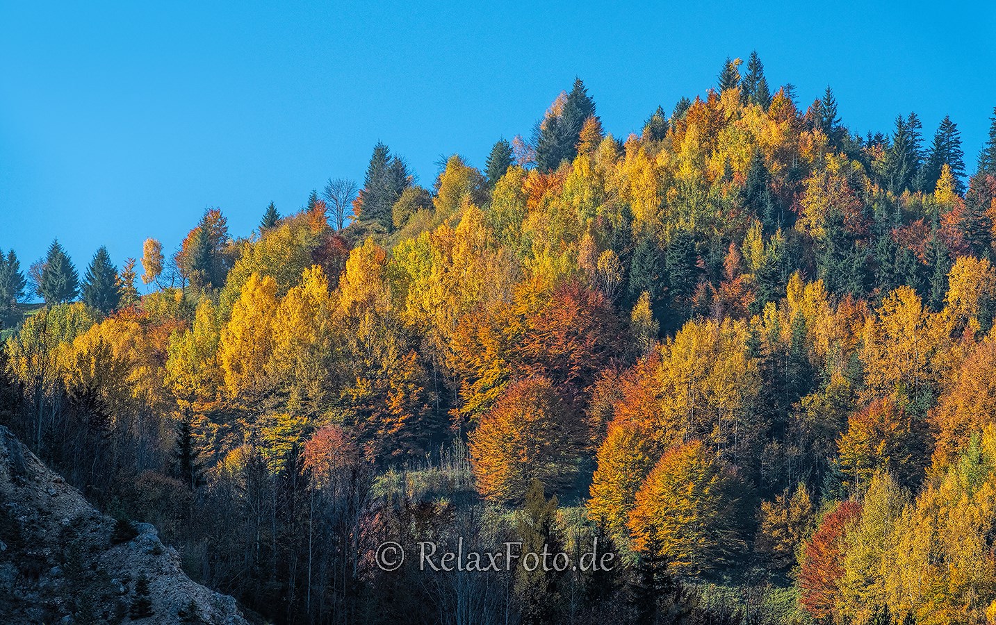 Herbst-Wald-Rumaenien-Siebenbuergen-Transylvanien-A_NIK500_6968 Kopie