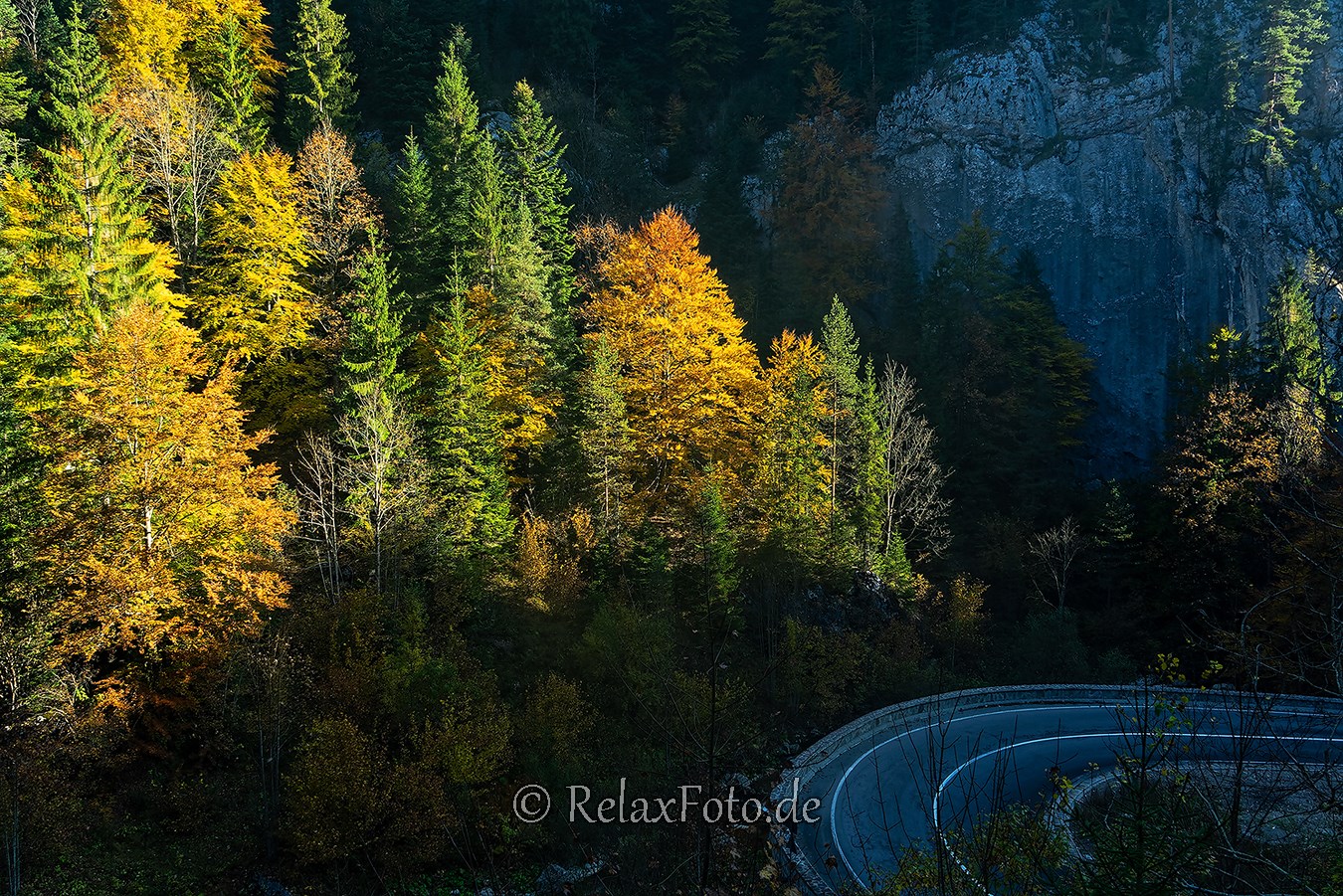 Herbst-Wald-Rumaenien-Siebenbuergen-Transylvanien-RX_02829 Kopie