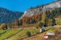 Herbst-Wald-Rumaenien-Siebenbuergen-Transylvanien-A_NIK500_6950 Kopie