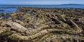 Wild-Atlantic-Way-Felsen-Kueste-Ostkueste-Irland-irischer-A-Sony_DSC2054