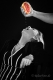 durst-vitaminstoss-frau-1_dsc3740-sw