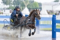 pferde-pony-kutschen-rennen-wasser-hindernis-graben-2_dsc3628