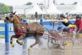 pferde-pony-kutschen-rennen-wasser-hindernis-graben-2_dsc3716