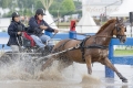 pferde-pony-kutschen-rennen-wasser-hindernis-graben-2_dsc3747