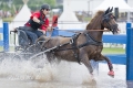pferde-pony-kutschen-rennen-wasser-hindernis-graben-2_dsc3798