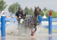 pferde-pony-kutschen-rennen-wasser-hindernis-graben-2_dsc3961