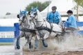pferde-pony-kutschen-rennen-wasser-hindernis-graben-2_dsc4049