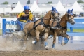 pferde-pony-kutschen-rennen-wasser-hindernis-graben-2_dsc4105