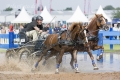 pferde-pony-kutschen-rennen-wasser-hindernis-graben-2_dsc4182