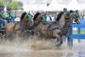 pferde-pony-kutschen-rennen-wasser-hindernis-graben-2_dsc4217