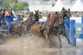 pferde-pony-kutschen-rennen-wasser-hindernis-graben-2_dsc4330