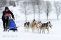 huskies-husky-schlittenhunde-rennen-1_dsc6508