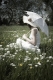 blumenwiese-frau-retro-sonnenschirm-f_o1i8471